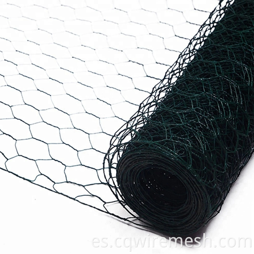 China Iso9001 Standard Pvc Coated Hexagonal Wire Mesh Ebay4